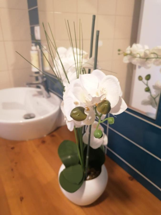 Apartamento Graciosa - Sta Catarina Place Ponta Delgada Exteriér fotografie
